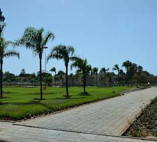 Ogrody przed Pałacem Królewskim