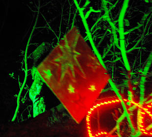 Strahler in die Bäume gerichtet