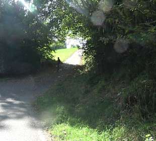 Bussen Schöpfungsweg Offingen