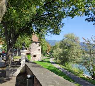 Gallusturm am Rhein