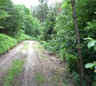 Schutzgebiet Spitzberg, Pfaffenberg