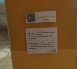 Südamerika Bereich - Löwenhaus