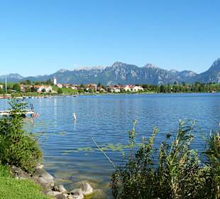 Blick über den Hopfensee