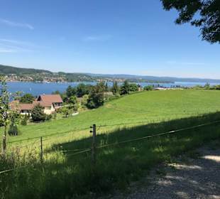 Rundwanderweg Steckborn