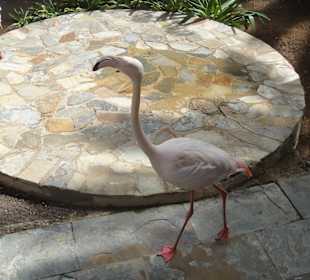 In der Nähe ein Tierpark