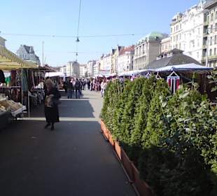 Eine tolle Atmosphäre
