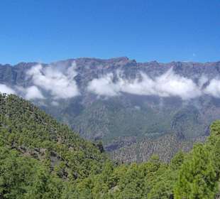 Ausflug in La Palma Nationalpark
