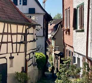 Altstadt Bad Wimpfen