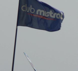 Windsurfen
