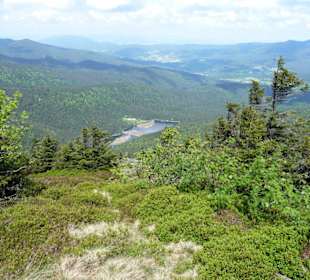 Ausblick auf den kleinen Arbersee