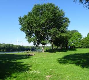 Liegewiese am Mahndorfer See