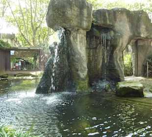 Schimpansen Anlage