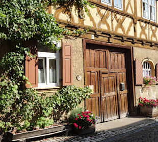 Rundgang durch die Altstadt von Königsberg