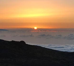 Wandern La Caleta de Adeje