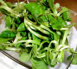 Restaurant Hopferl