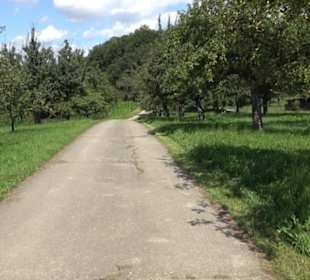 Hochgehnießen - Premiumspazierwanderweg