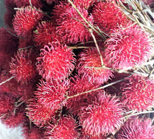 Obst- und Gemüsemarkt Trincomalee