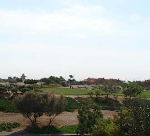 Поля для гольфа