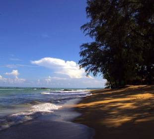 Lädt ein zum Spazieren!