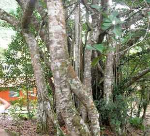 Jeep-Safari im Nationalpark