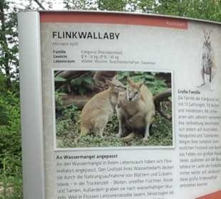 Tierpark Hellabrunn - Welt der Affen