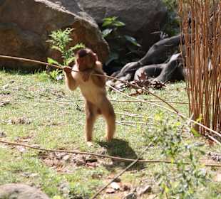 ZOOM Erlebniswelt Gelsenkirchen
