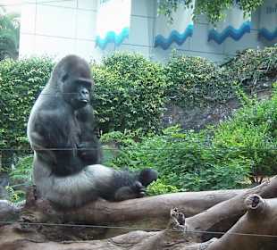 Loro Parc, Gran Canaria