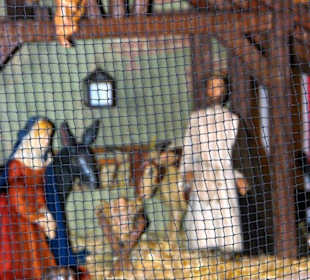 Unsere Nürnberger Grippe