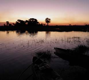 Okavango Delta