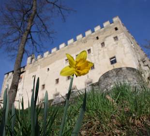 Museum Schloss Bruck, Stefan Weis
