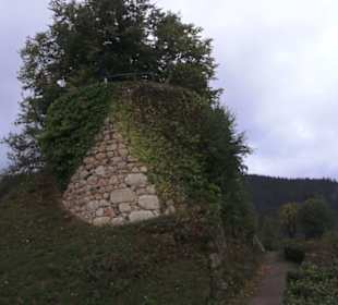 Schloss Hornberg