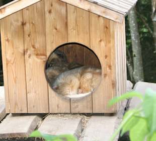 Kameltheater & Weißer Hof