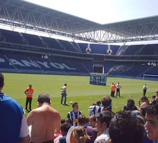 Prespectiva del campo desde dentro