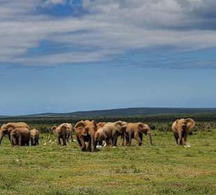 Großes Familientreffen