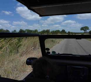 Krüger Nationalpark