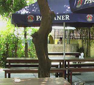 Restaurant Ludwik 