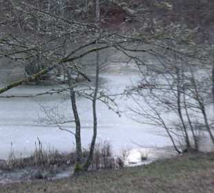 Ochsenweiher Rundweg