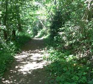 Wanderweg Sieben-Täler-Runde 
