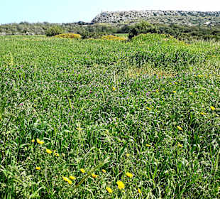 Nationalpark Kap Greco