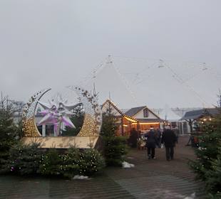 Auf dem Freigelände