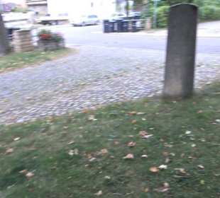 Stein mit Hirschhorn