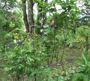 Mezger's Bürgle Park