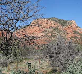 Red Mountains