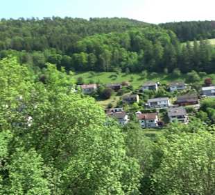 Schlossruine Wildberg