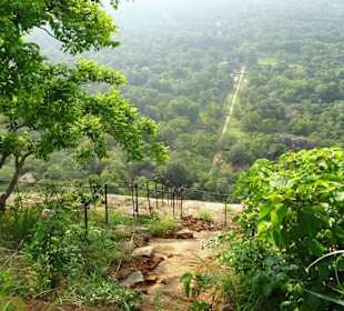 Elefantenreiten Sigiriya