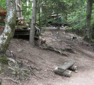Natur-Hochseilgarten Triberg