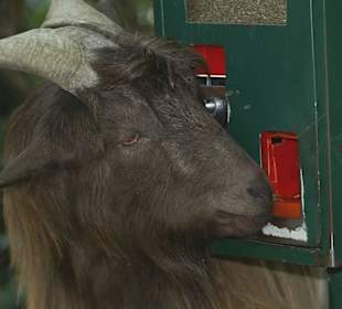 Hoffentlich kommt mal jemand mit Geld