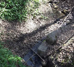 Wanderung Florianrunde