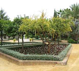 Excursión a Jerez