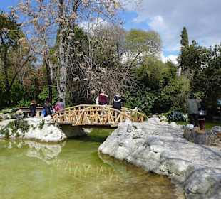 National Garten Athen 